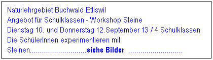 Textfeld: Naturlehrgebiet Buchwald Ettiswil                                       Angebot fr Schulklassen - Workshop Steine 
Dienstag 10. und Donnerstag 12.September 13 / 4 Schulklassen 
Die SchlerInnen experimentieren mit Steinen............................siehe Bilder  ...........................
